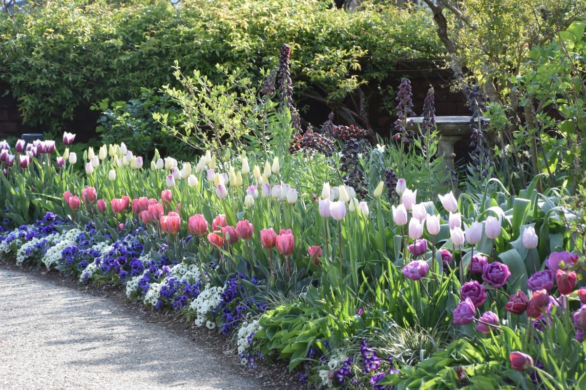 🌸 미츠케 잉글리시 가든 이미지 9